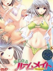 让人在意的室友