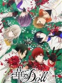华Doll*