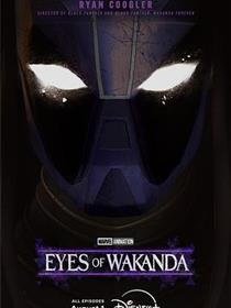 瓦坎达之眼